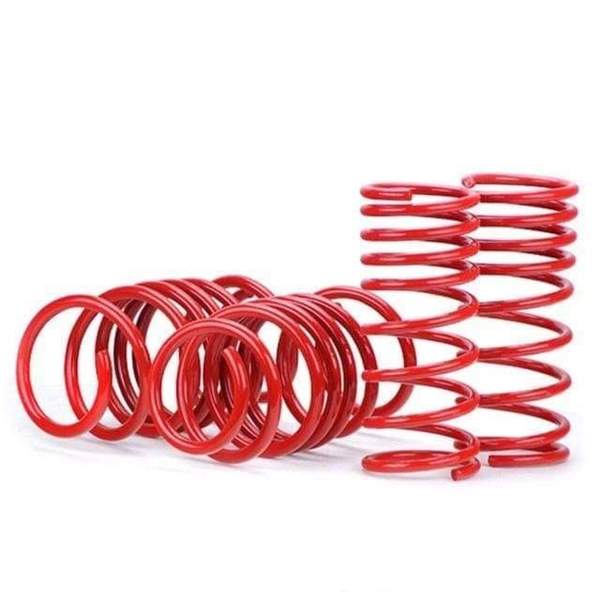 Nissan Skyline R32 RWD Cobra "Super Low" Springs - Front