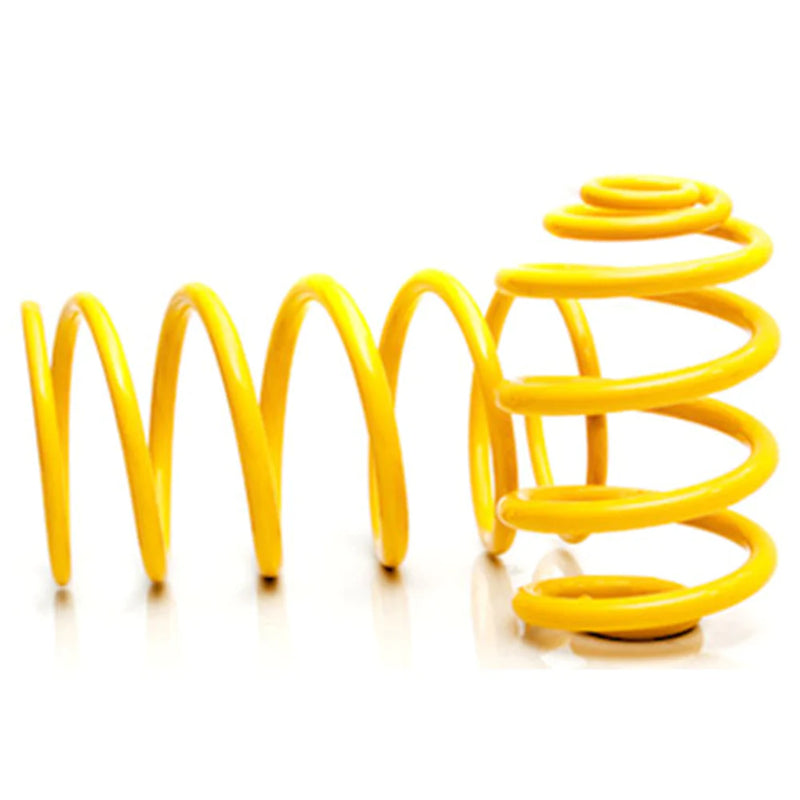 Ford Falcon BA-BF XR6 Rear Ultra Low Springs