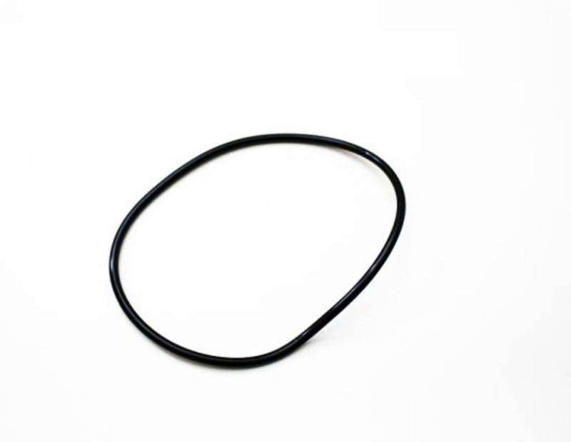 Nissan Fuel Tank O-Ring
